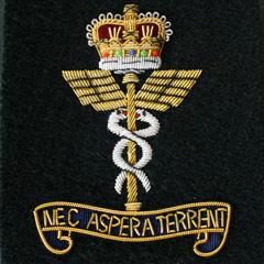 RAF Medical wire blazer badge